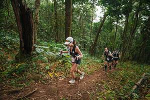 BIB: 
                            <button type="button" onclick="openModal(22444098)" class="btn btn-primary btn-sm float-right btn-popup" data-toggle="modal" data-target=".modal-high-quality">
                        <i class="fas fa-shopping-cart"></i> Add to Cart
                    </button>
                                            <button type="button" onclick="isThisMe(22444098, true)" class="btn btn-success btn-sm float-right btn-popup btn-isme hidden" data-toggle="tooltip" data-placement="bottom" title="นี่คือรูปของคุณใช่ไหม คลิกที่นี่เพื่อเอาเข้าอัลบั้ม">
                        <i class="fas fa-plus"></i> Add to album
                    </button>
                    <button type="button" onclick="isThisMe(22444098, false)" class="btn btn-warning btn-sm float-right btn-popup btn-isnotme hidden">
                        <i class="fas fa-ban"></i> Remove from album
                    </button>